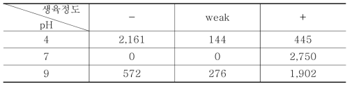 세균의 pH별 생육 정도 비교 결과