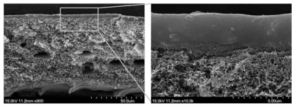 μ크기의 분말을 함유한 MOF/POZ composite membrane의 단면 SEM 이미지