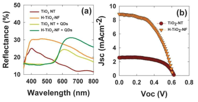 양자점 광흡수체를 새로운 구조의 나노 구조체에 적용했을 때의 광전극의 반사율 스펙트럼 및 단락전류 개방전압 곡선.