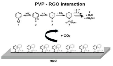 RGO와 PVP 전극의 이론적인 모식도 및 반응 용액에서의 반응물들 간의 메커니즘
