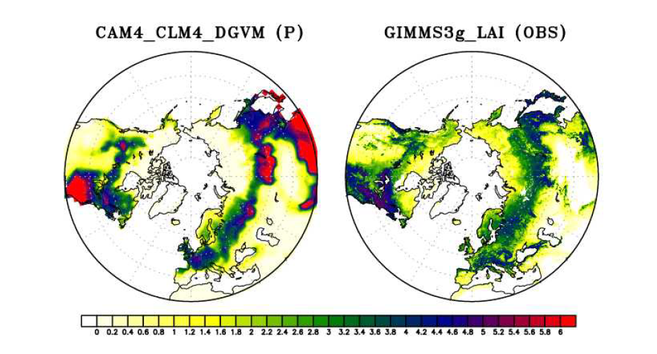 CESM-CNDV실험의 여름철 LAI와 위성관측자료의 GIMMS3g의 LAI.