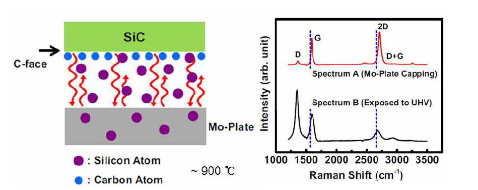 몰리브덴 기판을 이용한 저온에서의 epitaxial 그래핀 성장