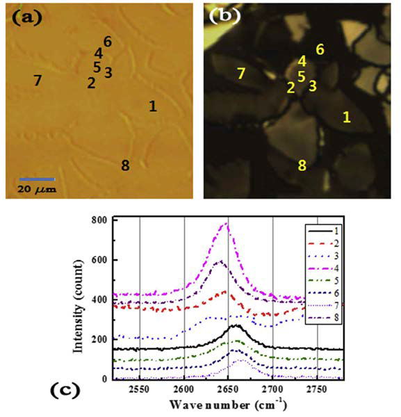 (a) 그래핀 액정의 일반적인 광학 사진과 (b) 편광 현미경 사진. (c) 그림 (a, b)에서의 여러 위치에서 측정 한 라만 분광계.