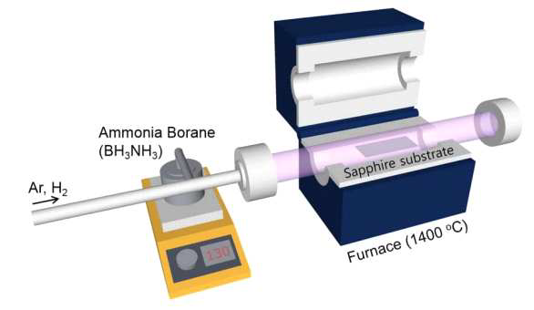사파이어 위에 BN을 성장하기 위해 필요한 CVD 시스템