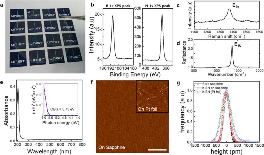 성장된 BN의 광학적 및 표면 특성