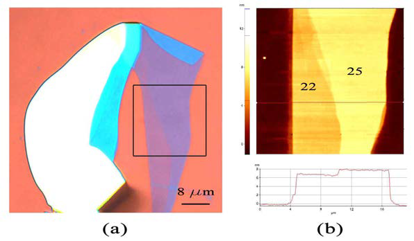 (a) BN flake에서 반사되는 빛의 파장의 변화와 (b) BN flake AFM 측정 결과