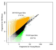 DNA methylation 비교를 보여주는 scatter plot