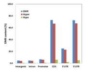 DMR의 genomic distribution