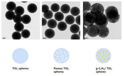 g-C3N4/TiO2 합성과정에 대한 TEM