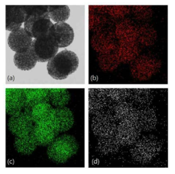 g-C3N4/TiO2 element mapping image