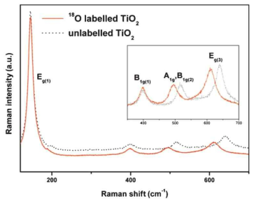 합성한 anatase TiO2의 Raman spectra