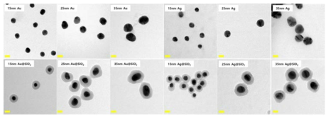 합성한 플라즈모닉 나노입자들의 TEM 이미지(scale bar: 20nm)
