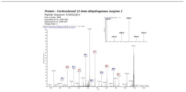 허혈성 말기시료에서 발현 변화를 보이는 corticosteroid 11-beta-dehydrogenase isozyme 1의 단백질 동정 결과 이미지