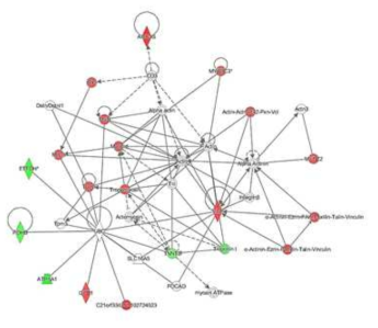 변화된 개별 단백질에 초점을 둔 단백질 네트워크 변화 분석 이미지