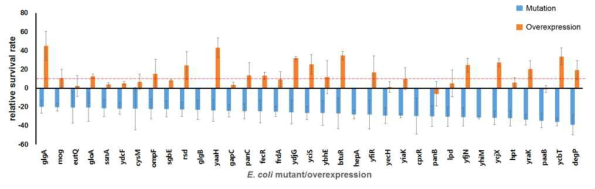 opposite effects on lifespan by E. coli genes