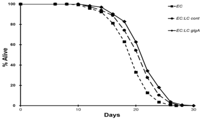 lifespan of N2 worms on glgA overexpression L. casei vs control