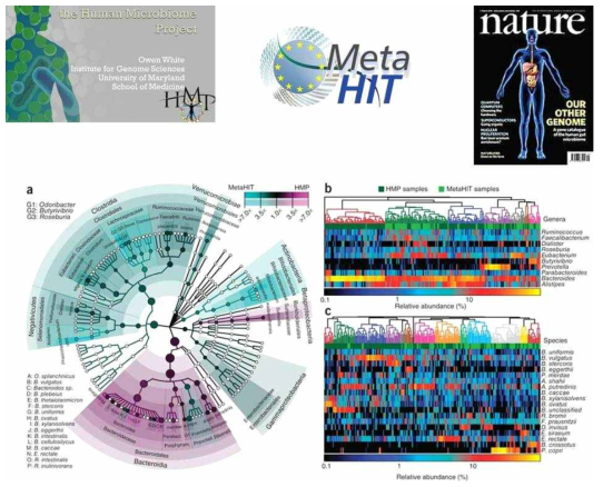 Human Microbiome Project & Metagenomics for Human Intestinal Tract, Microbiome as “OUR OTHER GENOME” in Nature cover, Comparisons of microbiota between HMP and MetaHIT.