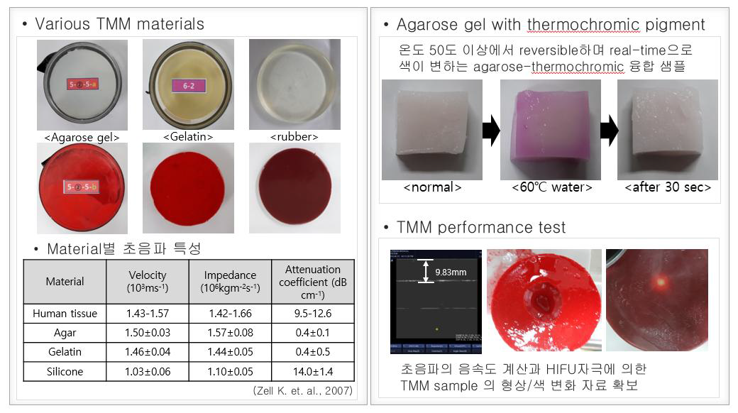 다양한 TMM 재료들과 Thermochromic Pigment를 융합하여 만든 Uterus Phantom 테스트