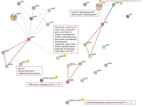 Interacting protein 모식도.