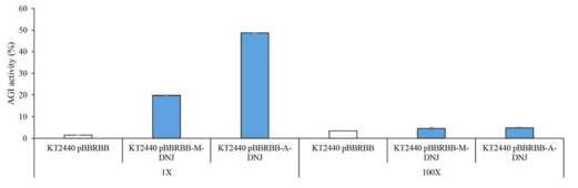 AGI activity를 통한 P. putida KT2440 pBBRBB M-DNJ 및 pBBRBB A-DNJ 활성 비교.