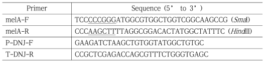 colony PCR에 사용된 프라이머 서열 (Sequence)