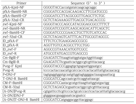 벡터 및 균주 구축에 사용된 프라이머 서열 (Sequence)