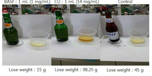 맥주 거품 생성 정도 비교를 통한 재조합 하이드로포빈 특성 연구.