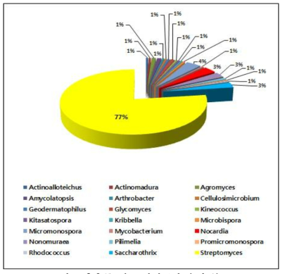 추출물 제조 방선균의 속별 분포도