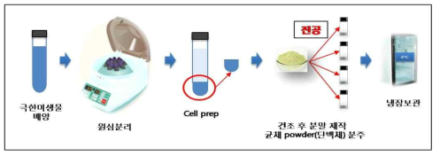 추출물 제조 과정 및 방법