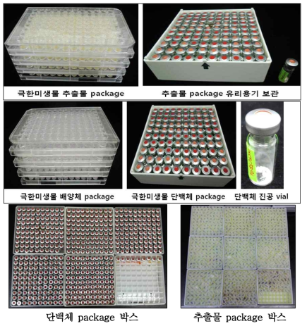 절대혐기 극한미생물 추출물/단백체 패키지 제작