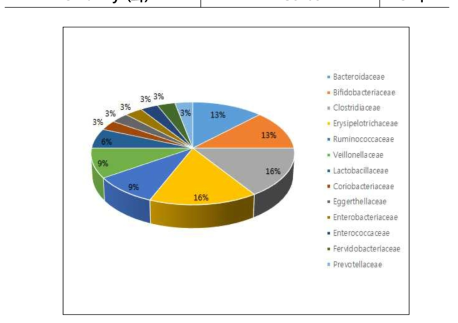추출물 제조에 사용된 인체공생 미생물의 과(family)별 분포도