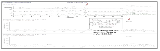 AN090615 방선균 균주의 RT 15.82 min peak의 LC-MS 분석결과