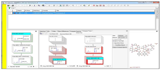 Actinomycin D 와 AN090615균주로부터 얻은 m/z 1255.9 peak의 Mass Frontier 프로그램을 활용한 mass fragmentation pattern 분석 화면