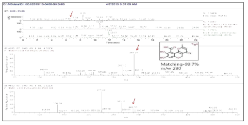 곰팡이 85번 균주의 RT 6.5 min peak의 LC-MS 분석결과