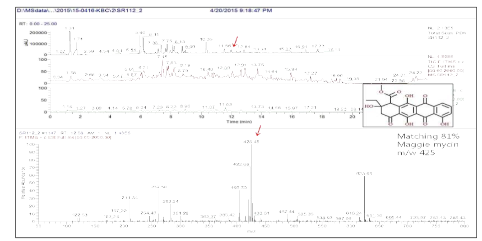 혐기성 세균 SR112-2 균주의 RT 12.06분 peak의 LC-MS 분석결과