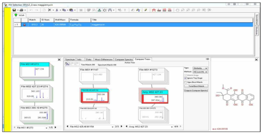 Maggiemycin 과 SR112-2 균주로부터 얻은 m/z 425.4 peak의 Mass Frontier 프로그램을 활용한 mass fragmentation pattern 분석 화면