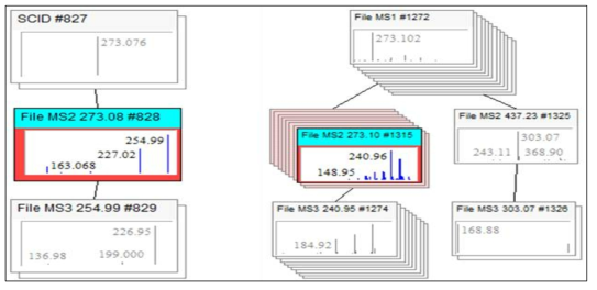 AN140373 균주의 m/z 273 [M+H]+ 화합물 peak과 Alternariol 9- monomethyl ether 의 Mass Frontier 프로그램을 활용한 mass fragmentation pattern 분석으로 유도체일 가능성 확인.