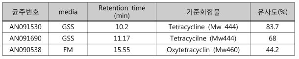 Tetracycline 과 oxytetracycline과 유사성이 검색된 방선균 균주