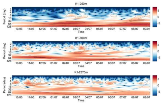 정점 K1의 남북방향 성분 유속의 wavelet 분석 결과.