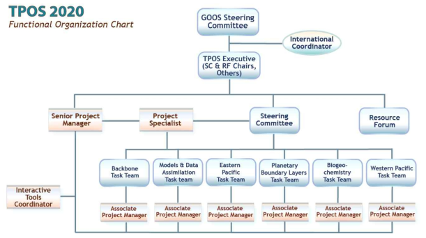 TPOS 2020 사업의 구조