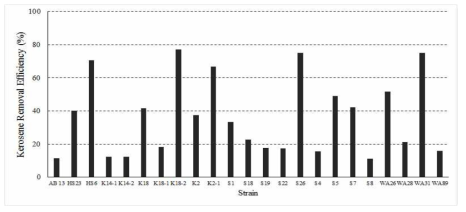 등유 분해 균주 효율 결과