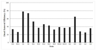 경유 분해 균주 효율 결과