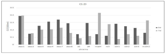 통영갯벌 균주의 0.01% yeast extract를 포함한 MSM배지에 자란 흡광도 값>