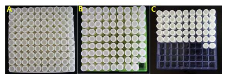 세균균주 패키지 A: 산성에서 생육 가능한 세균 균주 패키지 (148주) B: protease