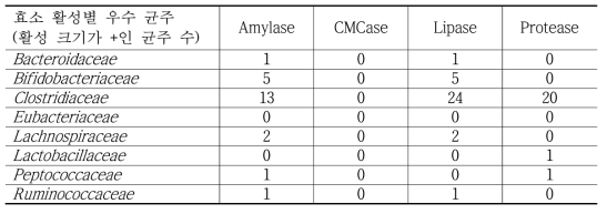 혐기성 세균 자원의 효소 활성 조사 결과 분석