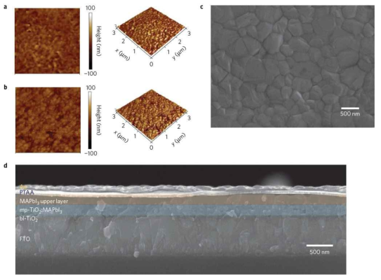 페로브스카이트 소자의 AFM과 SEM 이미지.