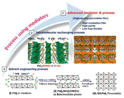 고품질 페로브스카이트 할로겐화물 광흡수 층 제작을 위한 중간 자 도입 공정 개발