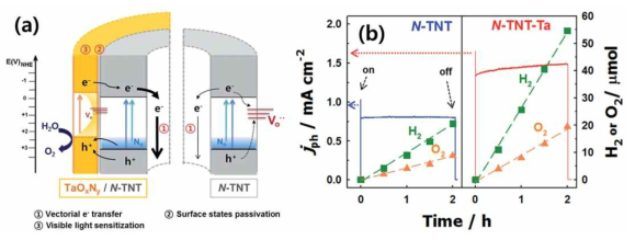 (a) TaON/N-TiO2 nanotube 융합 촉매의 전하 전달 매커니즘 (b) (TaON/)N-TiO2 nanotube 촉매의 광전류량 측정과 그에 따른 수소 및 산소 발생량