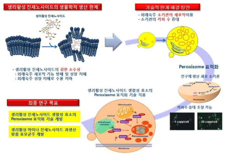 본 계획서에서 제시하는 진세노사이드 생산 최적화 효모 개발 연구개발의 필요성/해결기술개발 및 단계별과 최종 연구 목표