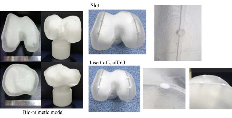 PDMS molding & Slot 제작